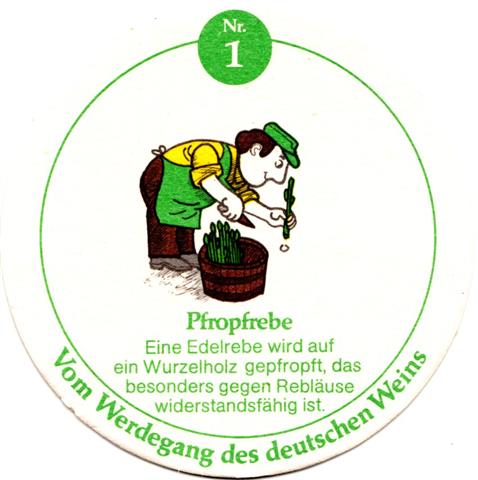 bodenheim mz-rp dt weininst einzig 1b (rund215-nr 1 pfropfrebe)